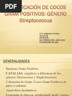 Download GENERO Streptococcus by Adry Loaiza SN36803995 doc pdf