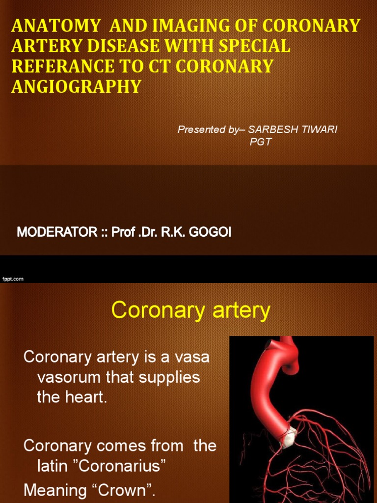 CT Coronary Angiography in CAD Analysis | PDF | Atheroma | Coronary ...