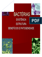 AULA BACTERIAS-PDF752010104951.pdf