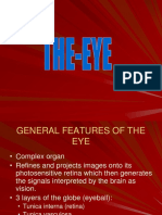 The-Eye-ss.ppt