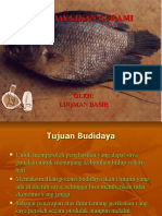 Presentasi Budidaya Gurami