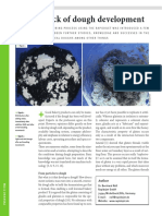 BBi-YB2010-Dough-Development Rapidojet.pdf