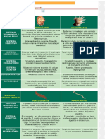 Tabela de Biologia - Anatomia Comparada