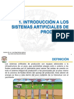 1.-Introduccion-a-los-SAP.pdf