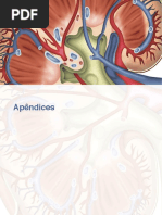 Orientação nutricional DRC - Riella e Martins.pdf-1