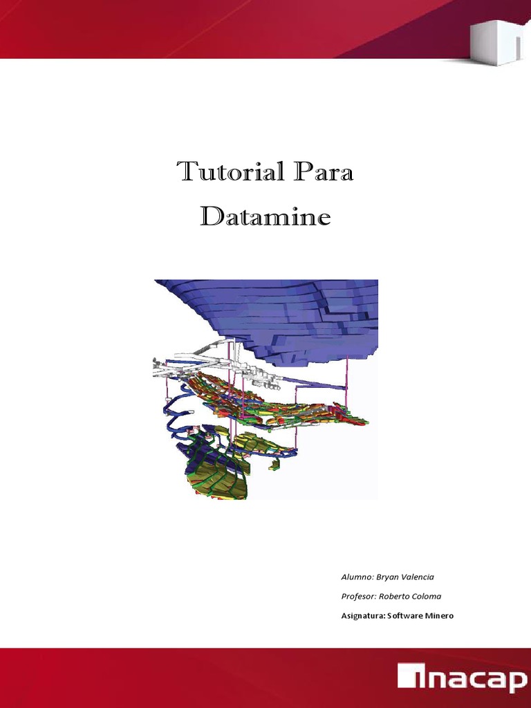 Manual Datamine | PDF | Minería | Informática