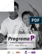 Program-P-Spanish.pdf