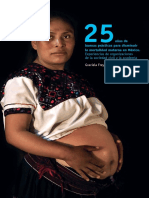 Mortalidad Materna (Experiencia de Organizaciones de La Sociedad Civil)