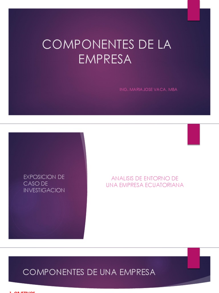 6. Componentes de La Empresa Capital (Economía) Corporaciones