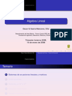 algebralinealtemario-130422145004-phpapp02.pdf