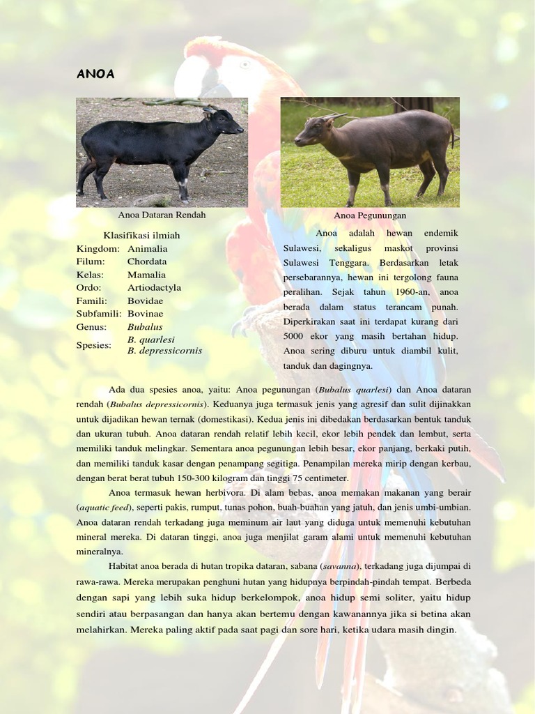 Fauna 2 Docx