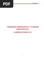 Laboratorio N° 01 Energía y fuerza específica