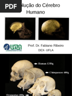 evol-cerebro-parte2.pdf