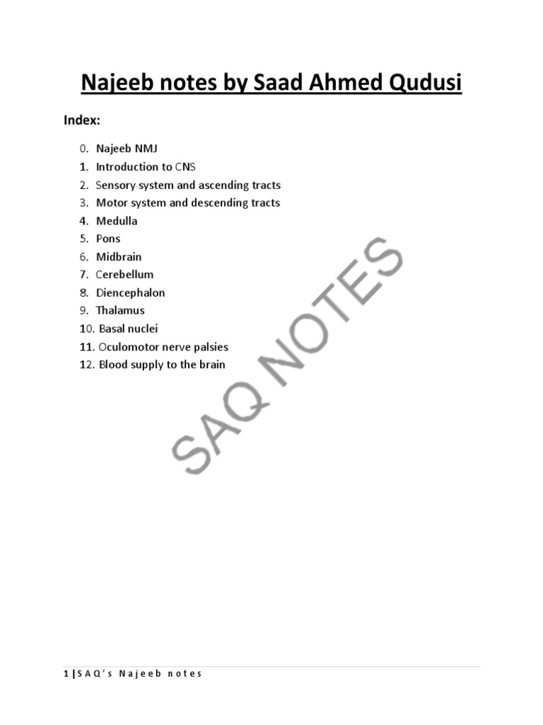 Najeeb Neuroanatomy Lecture Notes | PDF | Brainstem | Central Nervous ...