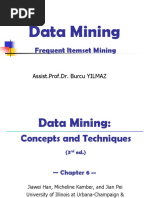 Frequent Itemset Mining