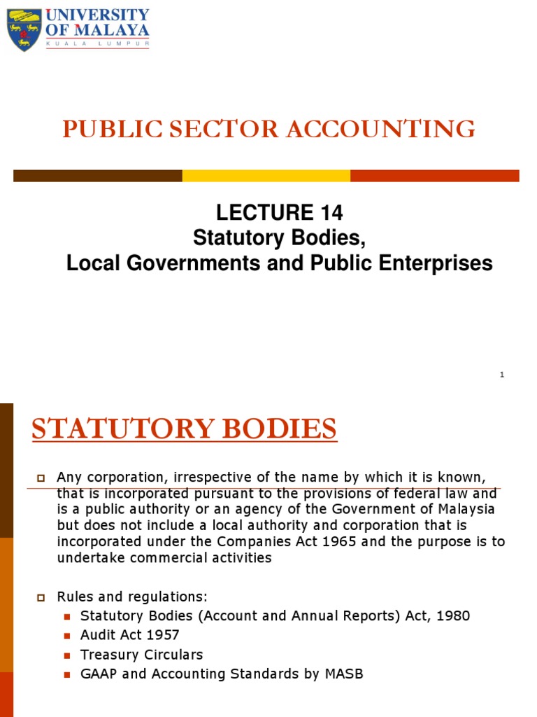 Local Gov, Statutory Bodies, Public Ent.pptx Local Government