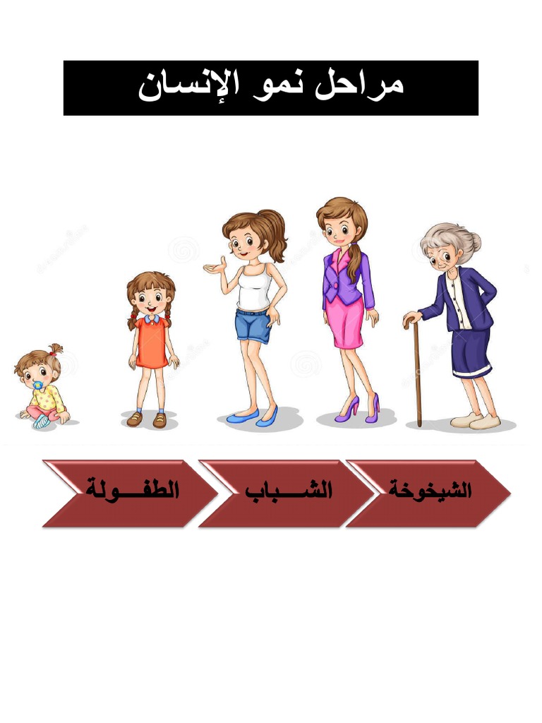 مراحل نمو الإنسان
