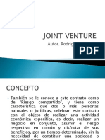 jointventure-100224232727-phpapp02.pdf
