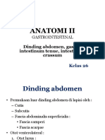 Anatomi Gastro
