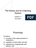 Kidney Lecture 11