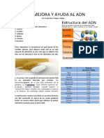 DIETA-PARA-MEJORAR-EL-ADN.pdf