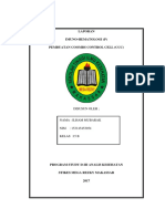 Laporan Pembuatan CCC