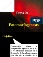 Tema_21._Fotomorfogeneis.ppt