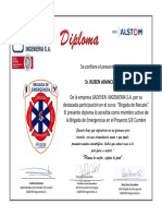 Diploma Sadeven Brigada