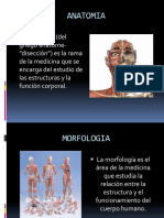 Conceptosde Anatomía