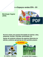 Morfologia das plantas.pptx