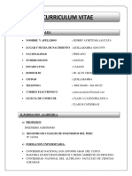 Curriculun Vite Modelo