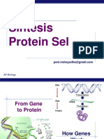 Sintesis Protein Sel: AP Biology