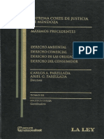 Pinto M. El Derecho Administrativo Sancionador y La Tutela Ambiental