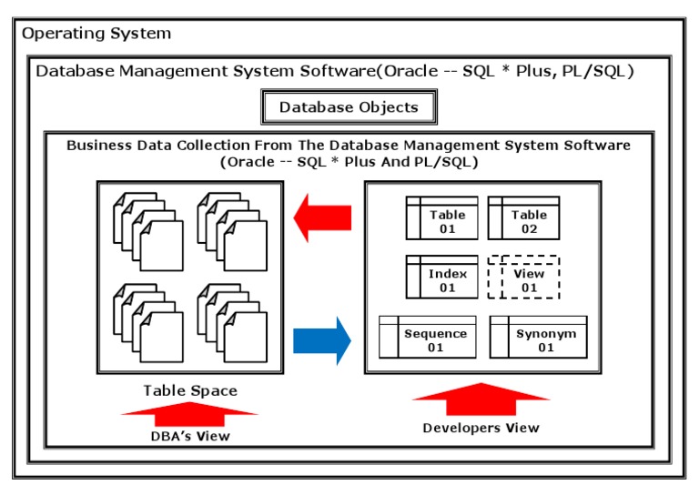 Database Management with Oracle SQL | PDF | Pl/Sql | Databases