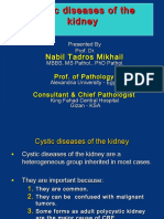 Cystic Diseases of The Kidney: Nabil Tadros Mikhail