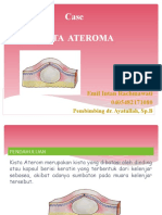 Ateroma Fix