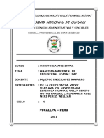 74281676-Auditoria-Ambiental-IUSAC-2011.pdf