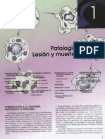 Capítulo 01 Patologia celular I - Lesion y muerte celular.pdf