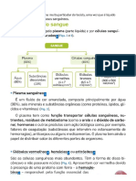 Elementos constituintes do sangue e suas funções