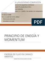 PRINCIPIO DE ENEGÍA Y MOMENTUM.pdf