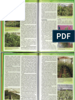 Jorge Cervantes La biblia del cultivador 2.pdf