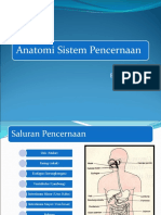 Anatomi Sist. Pencernaan