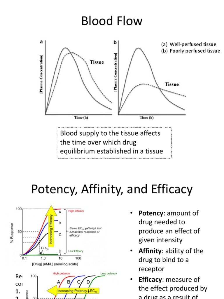 Chapter 1 (1.6-1.9) - Rosalia | PDF | Potency (Pharmacology) | Ligand ...
