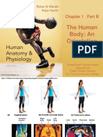 Anatomy Test 1 Review