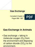Gas Exchange - General Information Ppt