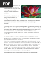 O Que é Ayurveda