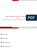 OSPF Protocol Outline