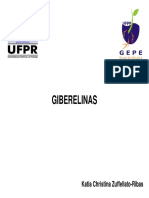 8 Giberelinas PDF