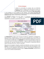 El Ciclo Geologico