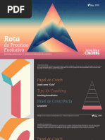 3 Rota Dos 7 Niveis e Caminhos No Coaching 3 Workshop